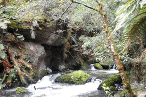 Hemo Gorge Trail - Te Ara Ahi